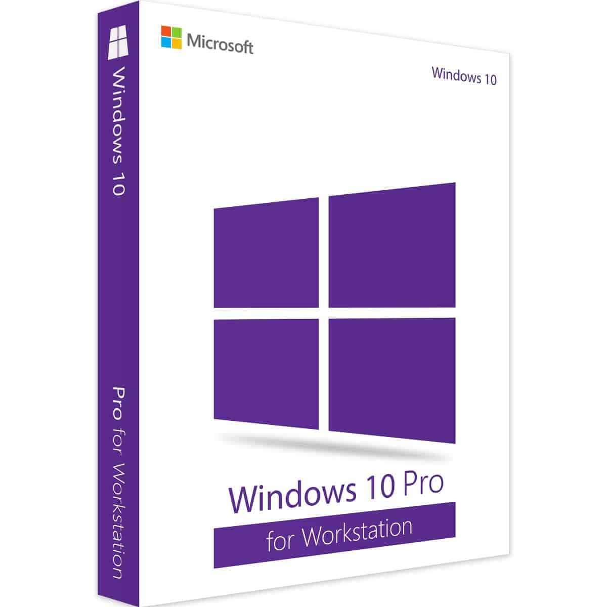 windows 10 professional license