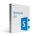 Sharepoint standard 2019 1 1
