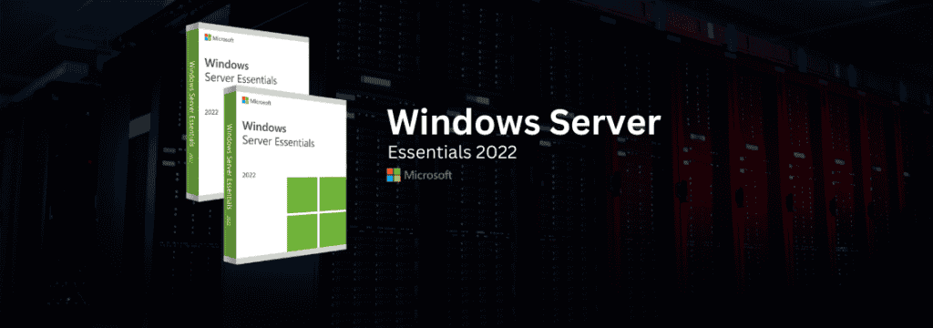 Windows Server 2022 Essentials license Key