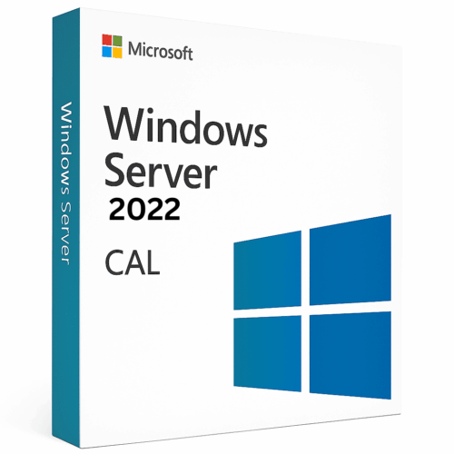 Windows Server 2022 CAL license key