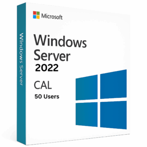 Windows Server 2022 CAL license key