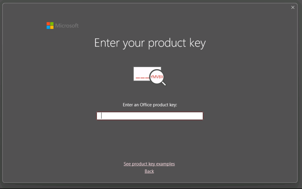 Microsoft Office 2024 license key
