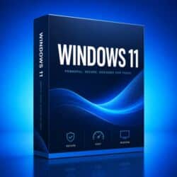 Windows 11